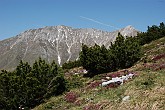 32 Sentiero Rifugio Capanna 2000